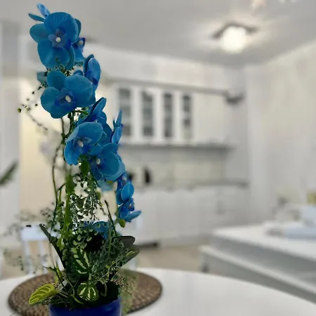 Seafront Haven Apartman *